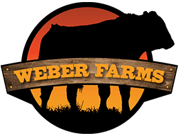 Weber Header Logo